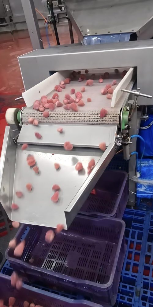 strawberry frozen