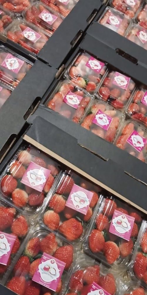 strawberry packaging